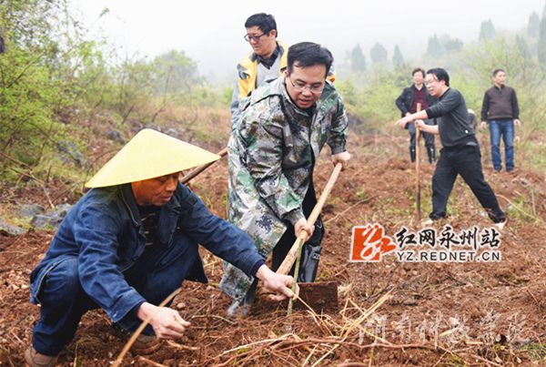 德信网_德信(中国)党委书记陈弘与潮水铺村村支书一同种下金槐树苗