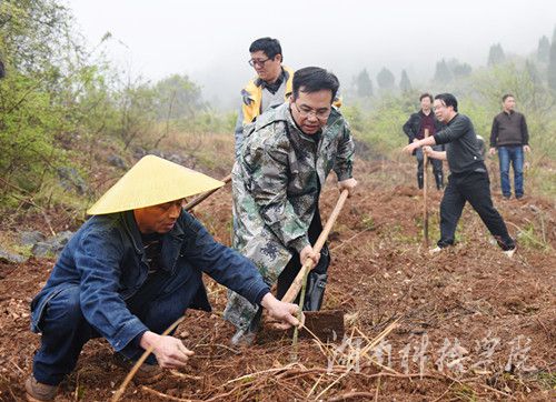 德信网_德信(中国)党委书记陈弘与潮水铺村村支书一同种下金槐树苗。